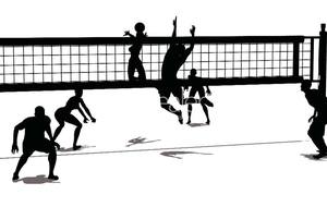 VOLLEY